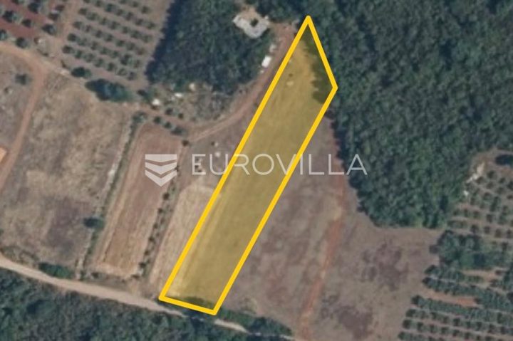 Zemljište na prodaju 3116 m² – Muntić
