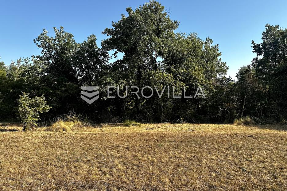 Terrain À vendre - Istarska Grožnjan - foto 1/4