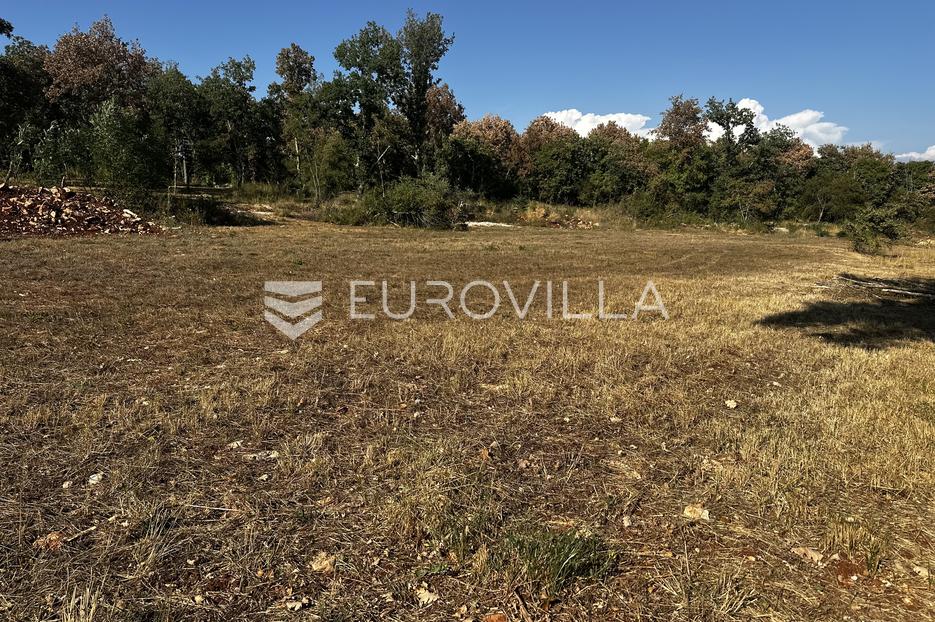 Terrain À vendre - Istarska Grožnjan - foto 4/4