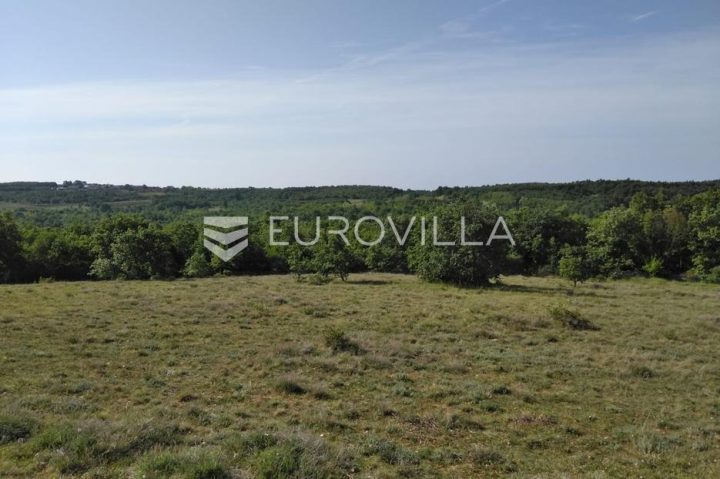Land for sale 38360 m² – Zoričići