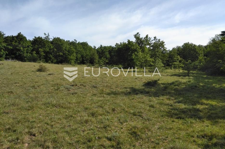 Terrain À vendre -  Višnjan