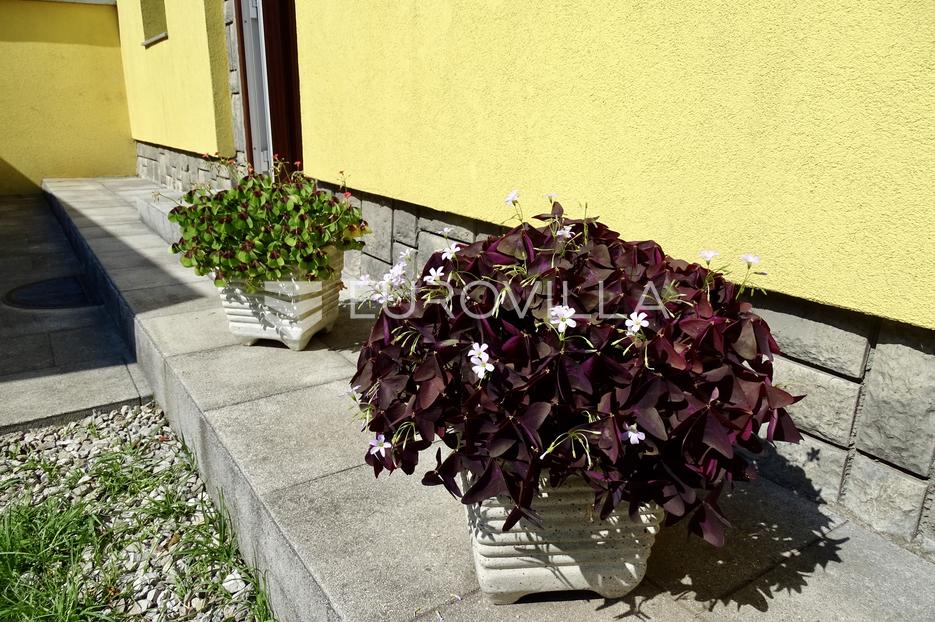 House For sale - Delnice - foto 4/25