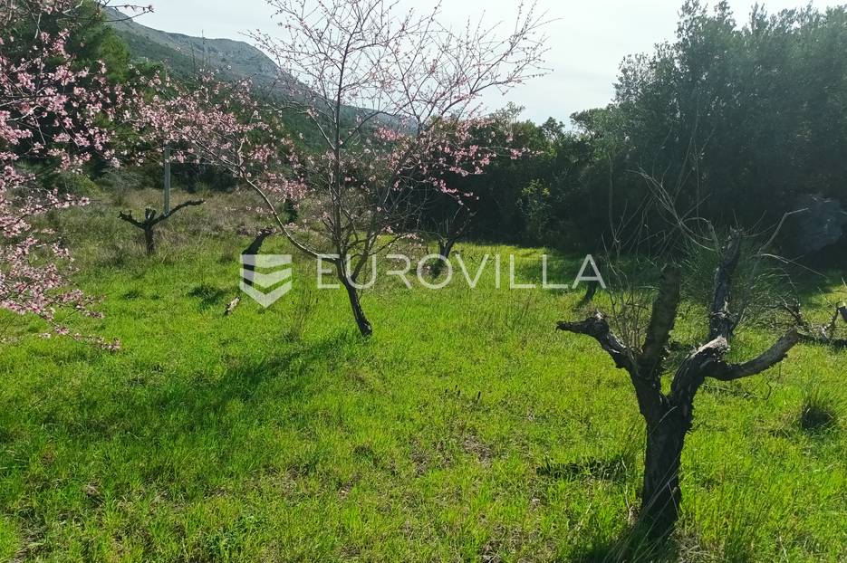 Land For sale -  Podstrana