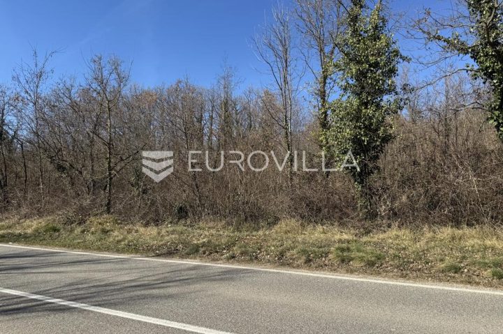 Pozemek Na prodej - Istarska Karojba - foto 4/6