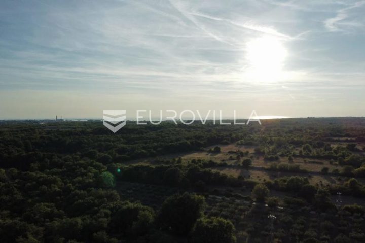 Działka na sprzedaż 8000 m² – Vodnjan