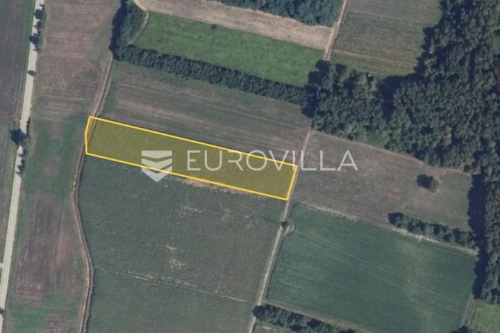 Pozemek na prodej 8093 m² – Odra