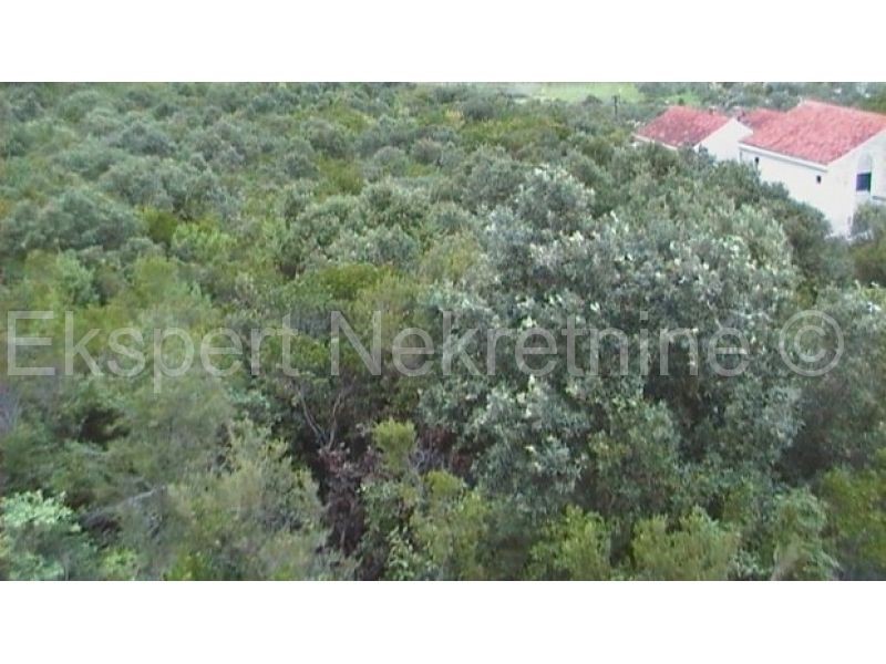 Land For sale - DUBROVAČKO-NERETVANSKA  KORČULA 