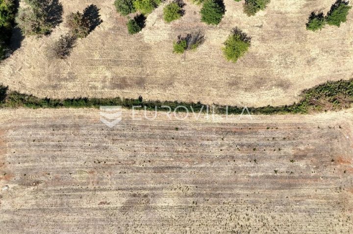 Terrain À vendre - Istarska Višnjan - foto 4/4