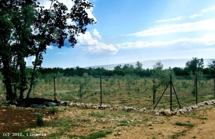 Terrain À vendre - Primorsko-goranska Krk - foto 2/7