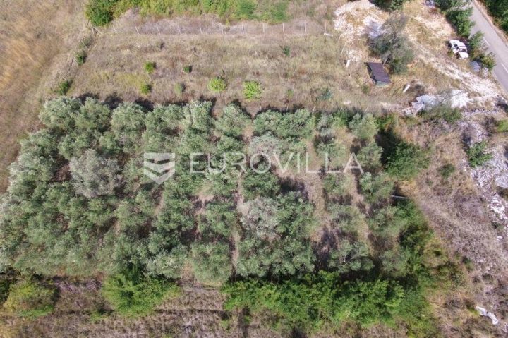 Terrain À vendre - Zadarska Poličnik - foto 2/4