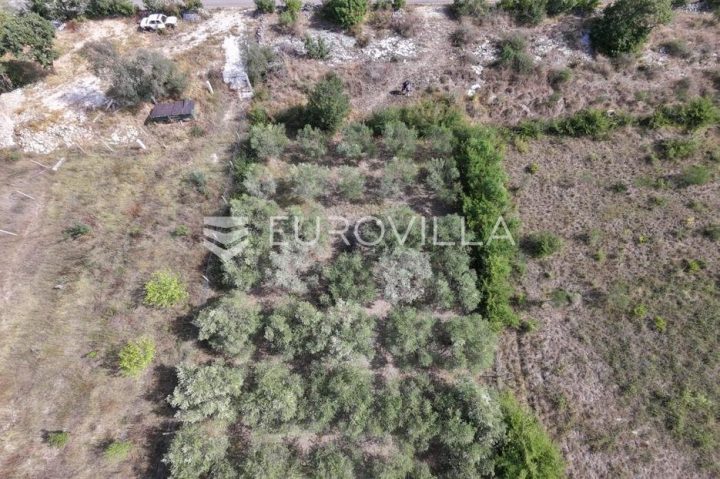 Terrain À vendre - Zadarska Poličnik - foto 3/4