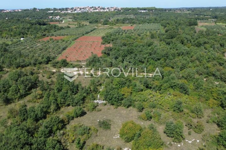 Parcela na predaj 2497 m² – Perci