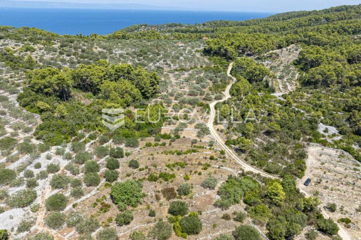 Terrain À vendre - Dubrovačko-neretvanska Vela Luka - foto 4/8
