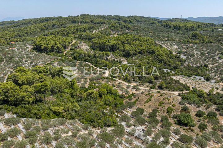 Terrain À vendre - Dubrovačko-neretvanska Vela Luka - foto 5/8