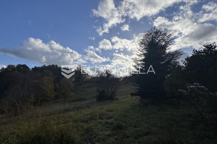 Land For sale - Istarska Pazin - Okolica - foto 5/7