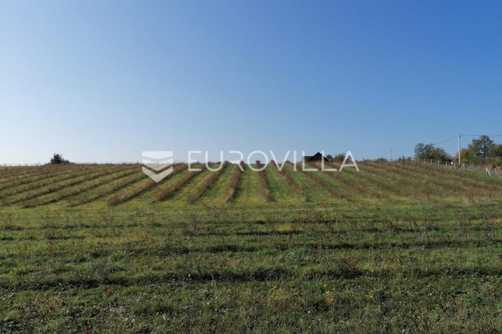 Terreno in vendita 60619 m² – Vrhovina