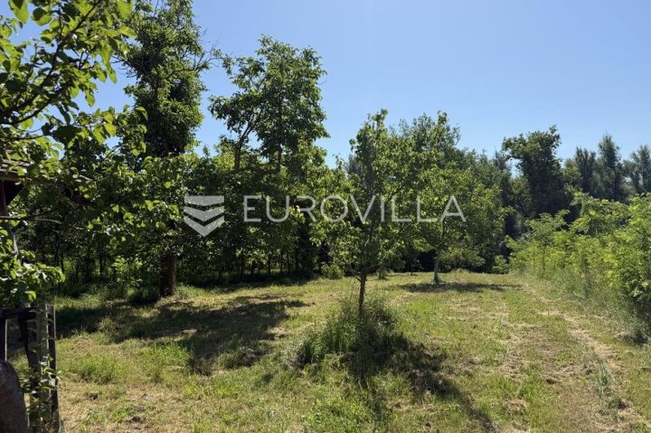 Terreno In vendita - Osječko-baranjska Bilje - foto 3/3