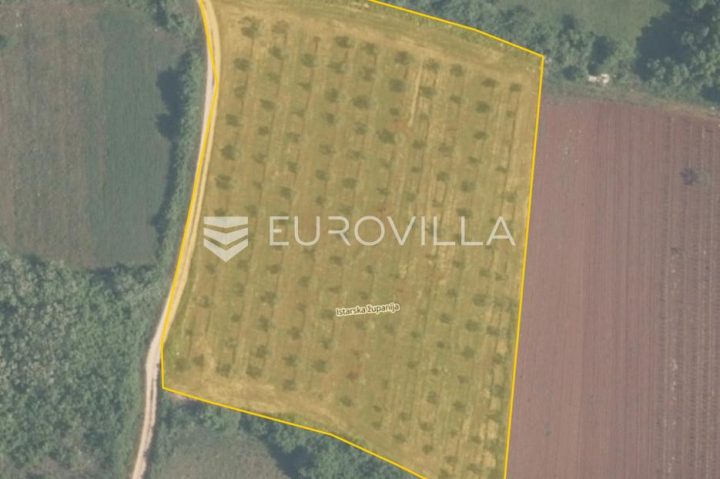 Land for sale 7628 m² – Tar