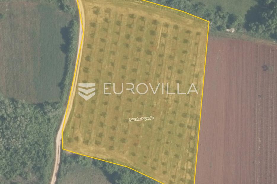 Land For sale - Istarska Tar-vabriga - foto 1/1