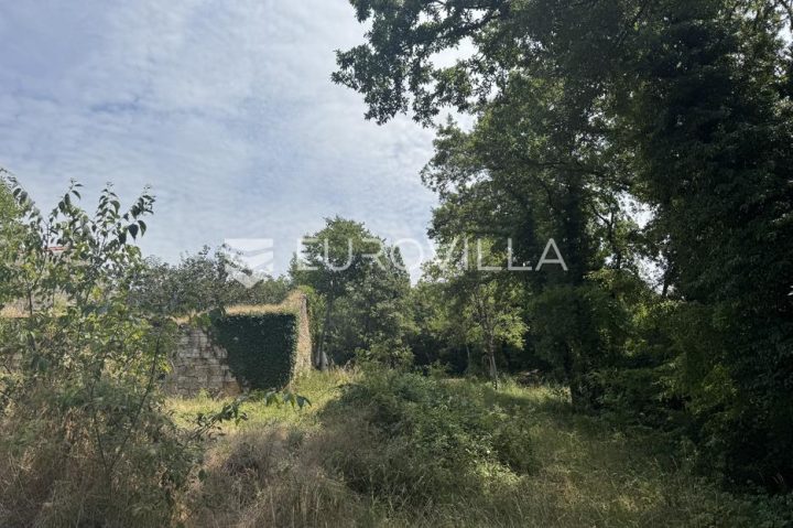 Parcela Naprodaj - Istarska Sveti Lovreč - foto 5/11