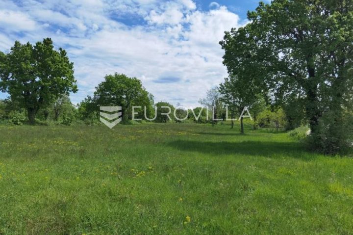 Zemljište na prodaju 12005 m² – Sveti Ivan