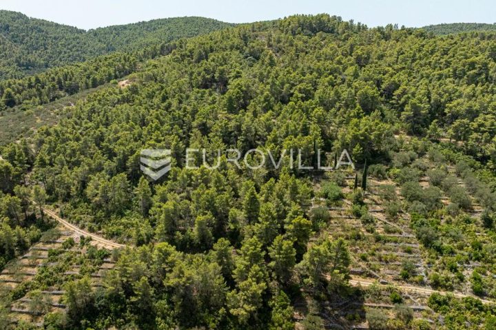 Parcela Naprodaj - Dubrovačko-neretvanska Vela Luka - foto 4/8