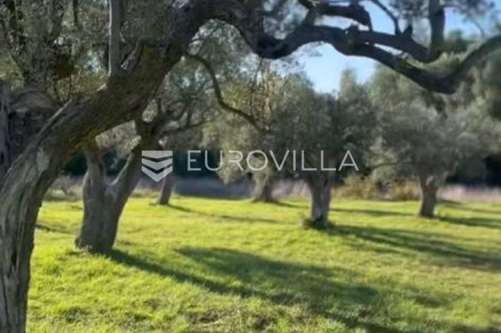 Terrain à vendre 3600 m² – Galižana