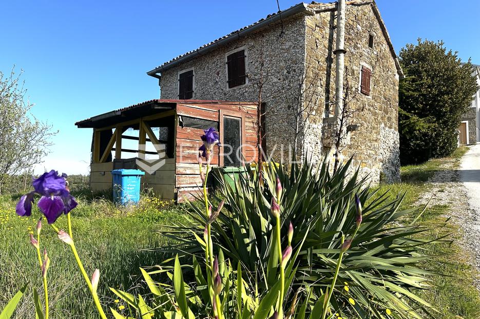 House For sale Momjan