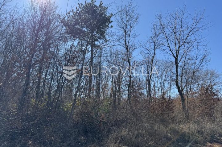 Parcela Na predaj - Istarska Barban - foto 4/4
