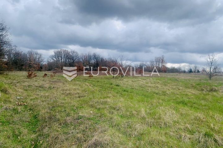 Grundstück zu verkaufen 11732 m² – Svetvinčenat