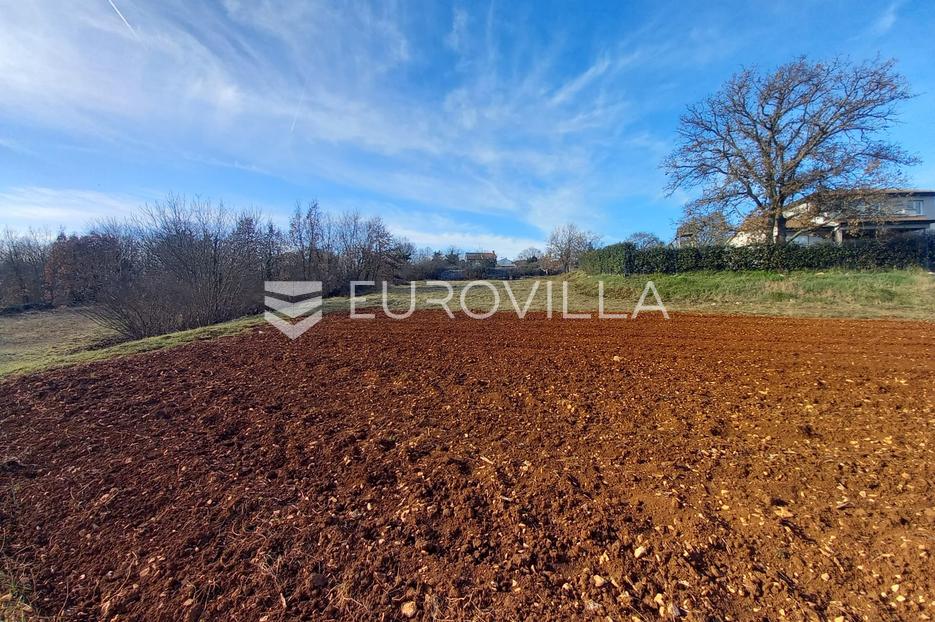 Terreno In vendita - Istarska Tinjan - foto 1/17