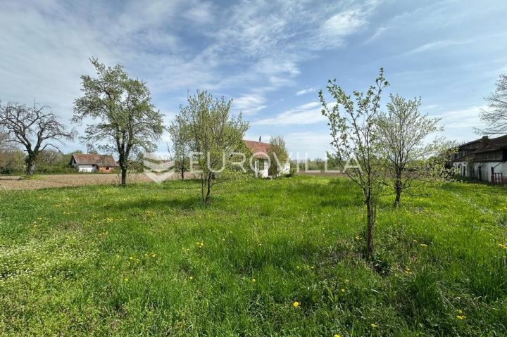 Pozemok na predaj 8631 m² – Zalužje