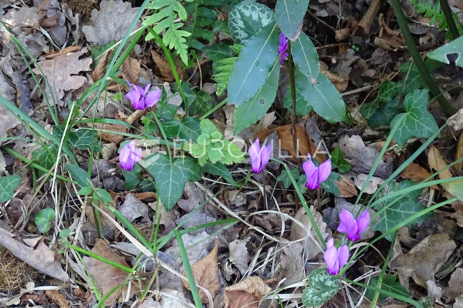 Terreno In vendita - Primorsko-goranska Matulji