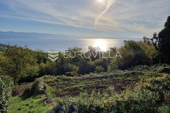 Terreno in vendita 17500 m² – Ičići