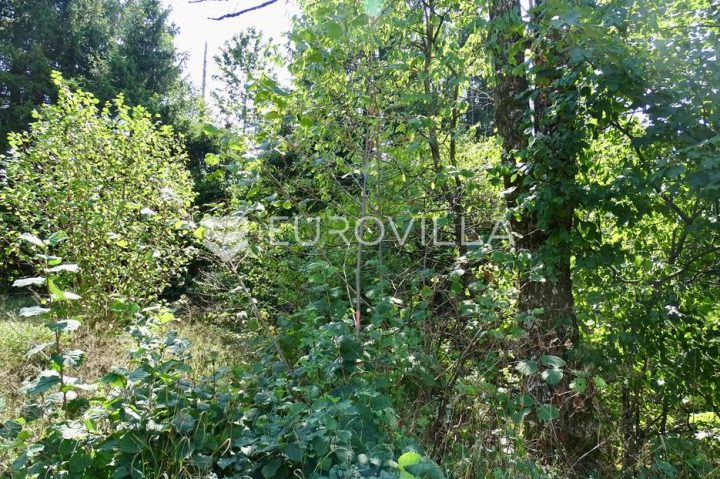 Parcela Naprodaj - Primorsko-goranska Delnice - foto 5/5