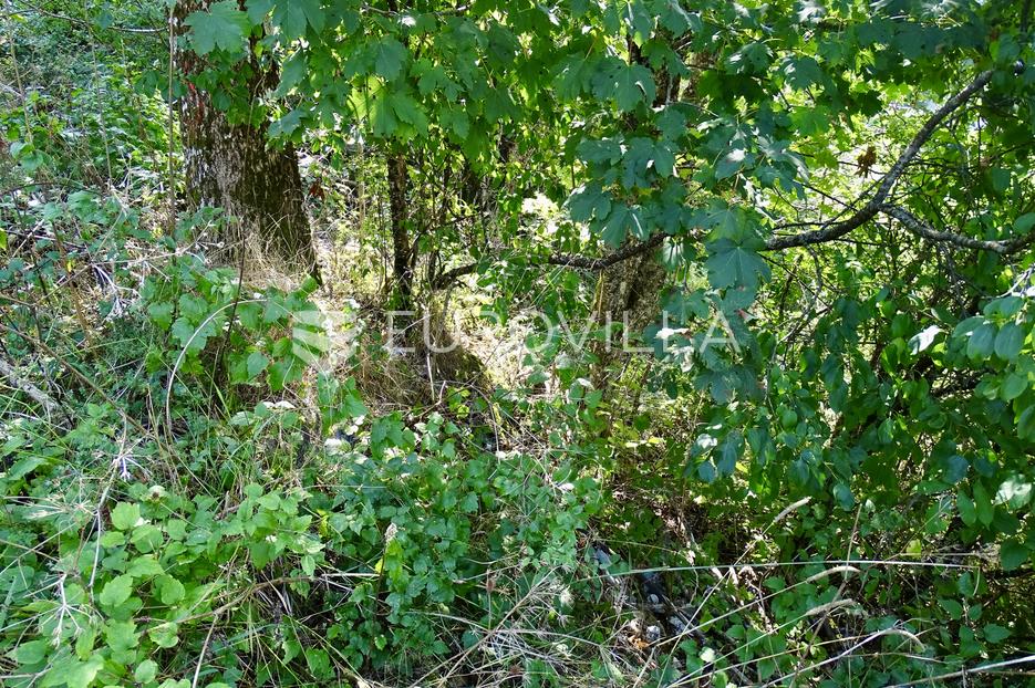 Land For sale - Delnice - foto 2/4