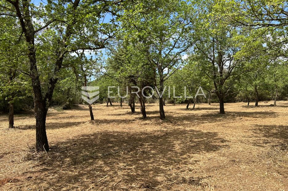 Land For sale - Istarska Vodnjan