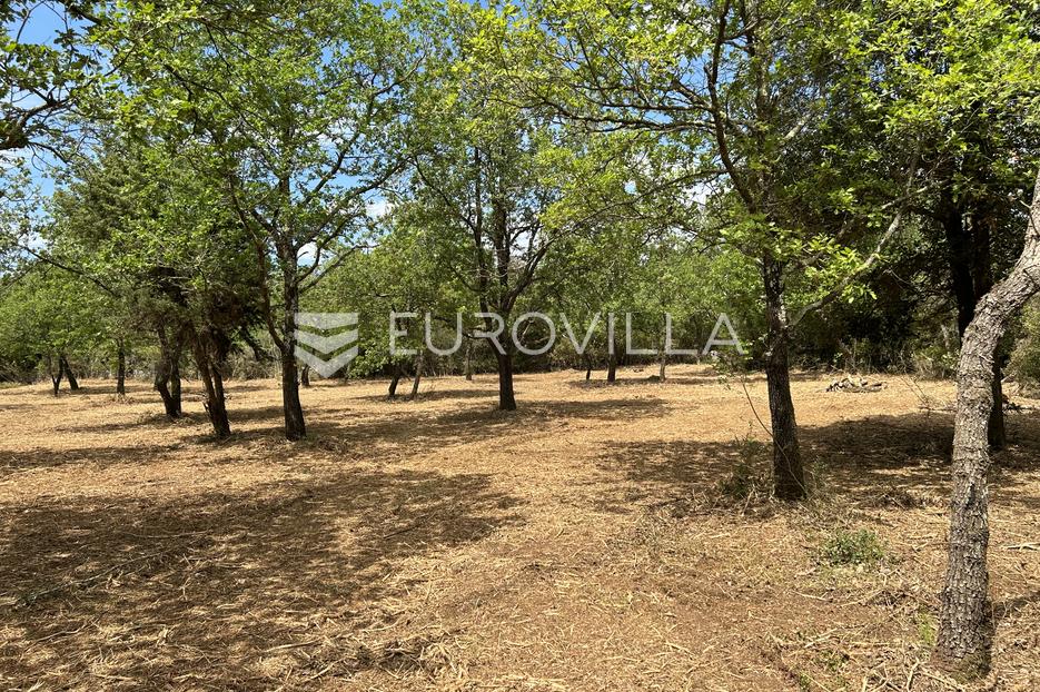 Land For sale - Istarska Vodnjan