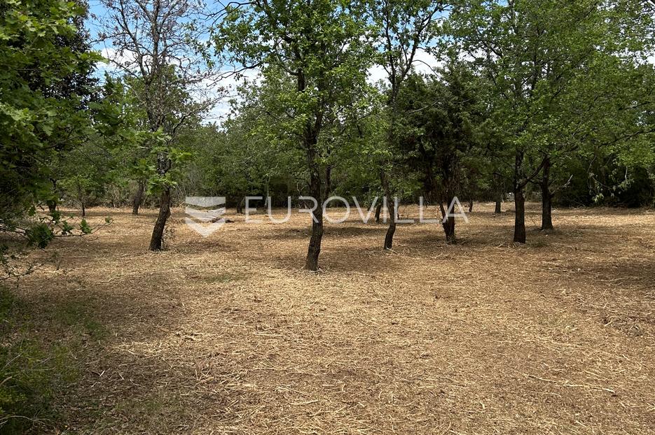 Land For sale - Istarska Vodnjan - foto 3/10