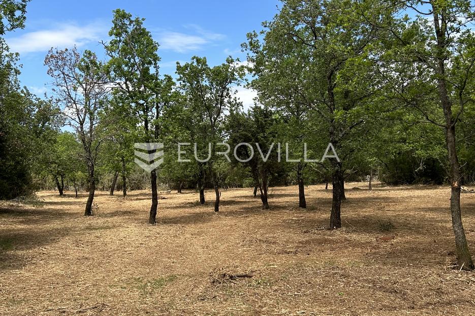 Land For sale - Istarska Vodnjan