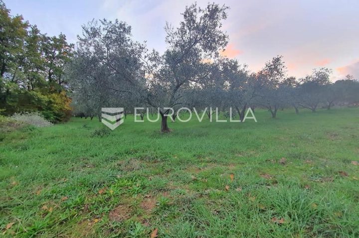 Terrain à vendre 4274 m² – Krnica