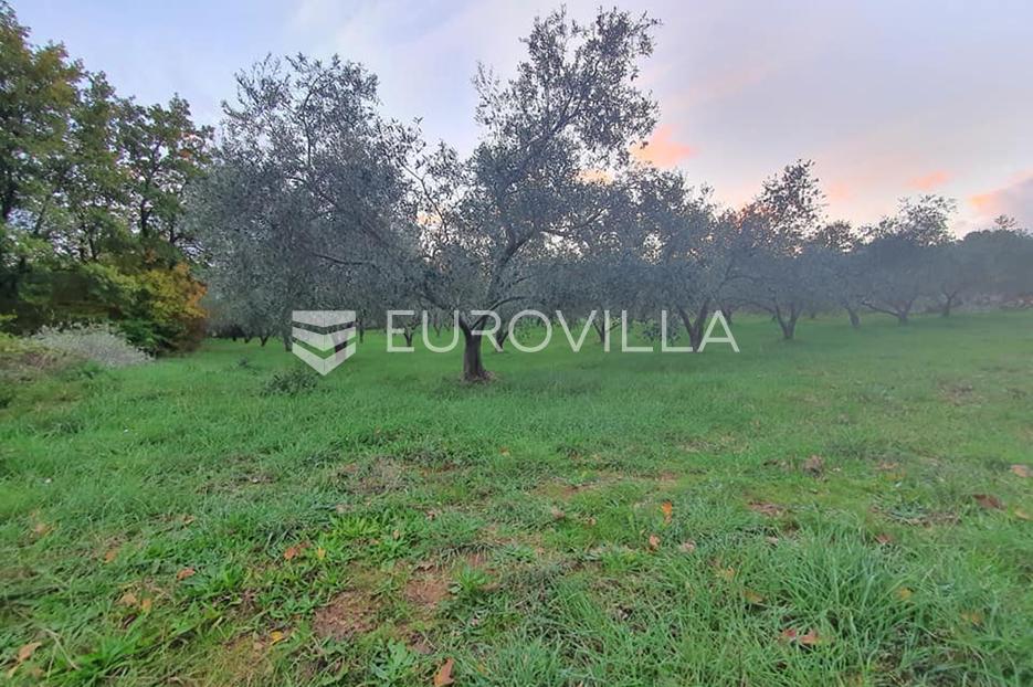 Terreno In vendita - Istarska Marčana - foto 1/2
