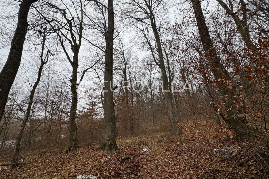 Land For sale Levanjska Varoš