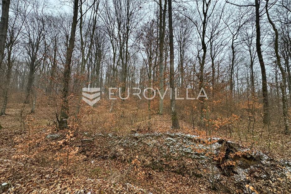 Zemljište Na prodaju -  Levanjska Varoš