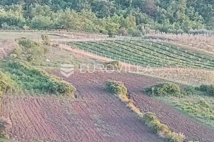 Terrain à vendre 11174 m² – Draguć