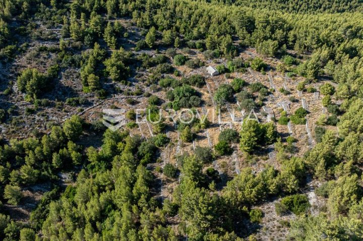 Grundstück Zu verkaufen - Dubrovačko-neretvanska Blato - foto 5/8