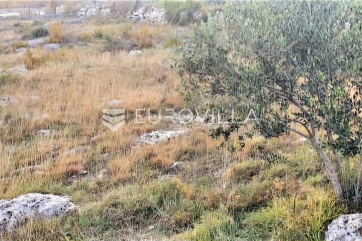 Terrain à vendre 5000 m² – Žeževica