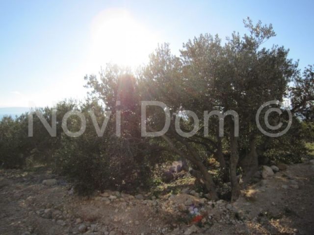 Terrain À vendre - Splitsko-dalmatinska Makarska - foto 3/4
