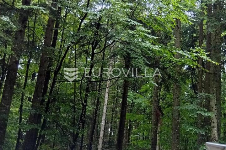 Zemljište na prodaju 31176 m² – Lukovdol