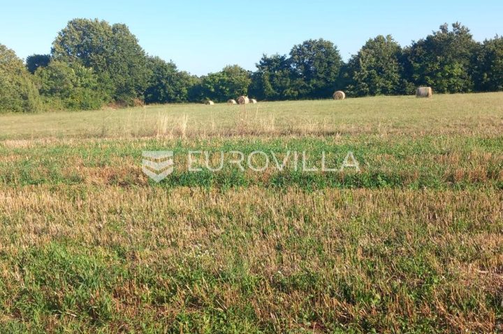 Grundstück zu verkaufen 8182 m² – Svetvinčenat